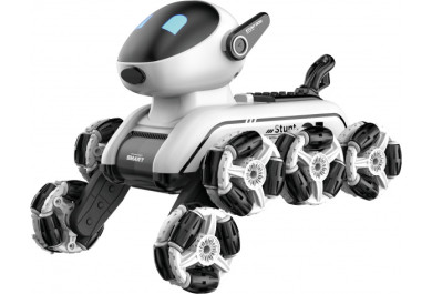 RoboPes Fleg