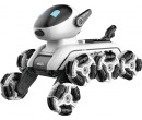RoboPes Fleg