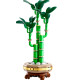 Lego Botanicals 10344 Bambus štěstí