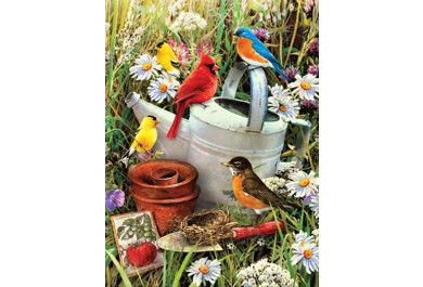 Royal Langnickel Malování podle čísel - Ptáčci na konvi,  22x30 cm