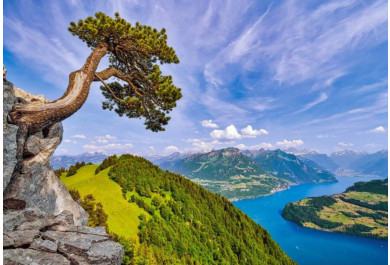 Castorland puzzle 1000 dílků - Výhled na jezero Uri, Švýcarsko