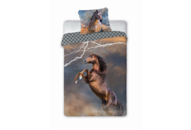 Povlečení bavlna fototisk Hnědý hřebec, 140x200, 70x90cm