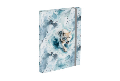 BAAGL Desky na školní sešity A4 Polar