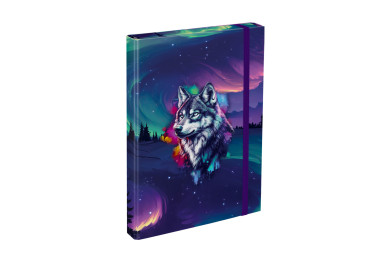 BAAGL Desky na školní sešity A4 Aurora