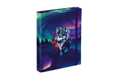 BAAGL Desky na školní sešity A5 Aurora