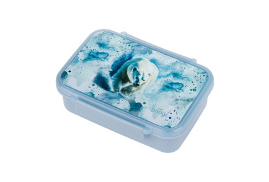 BAAGL Box na svačinu s přihrádkami Polar