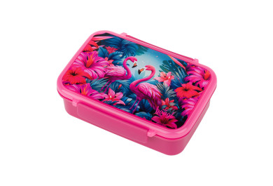 BAAGL Box na svačinu s přihrádkami Flamingo