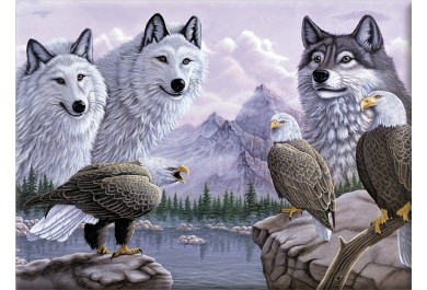 Royal Langnickel malování podle čísel - Vlci a orli  40x30 cm