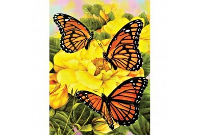 Royal Langnickel Malování obrázků podle čísel - Motýlci  22 x 30 cm