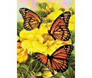 Royal Langnickel Malování obrázků podle čísel - Motýlci  22 x 30 cm