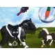 Shetlandský pony černý s hříbětem a příslušenstvím