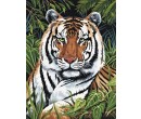 Royal Langnickel Malování obrázků podle čísel - Tygr v trávě, 22x30 cm