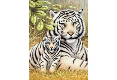 Royal Langnickel Malování podle čísel - Tygr s mládětem, 22x30 cm