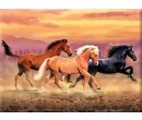 Royal Langnickel malování podle čísel - Běžící koně, 40x30 cm