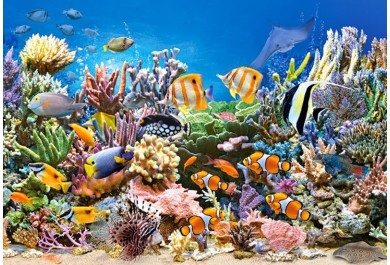 Castorland puzzle 260 dílků - Ryby na korálovém útesu
