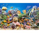 Castorland puzzle 260 dílků - Ryby na korálovém útesu