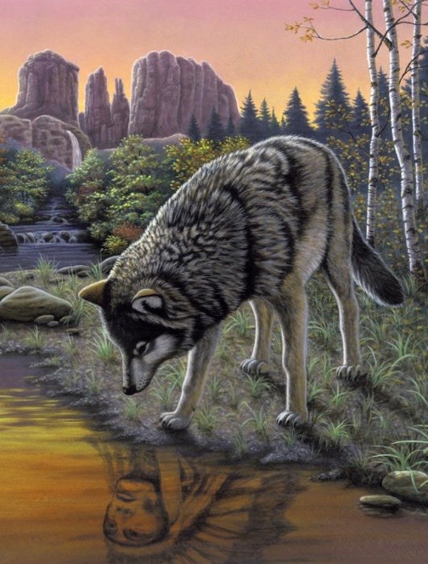 Royal Langnickel malování podle čísel - Vlk, 22x30 cm