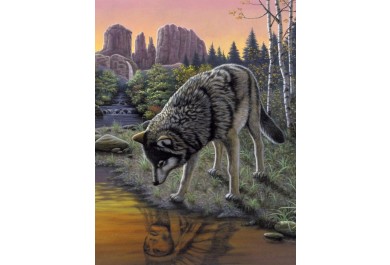 Royal Langnickel malování podle čísel - Vlk, 22x30 cm