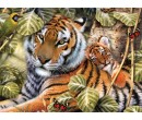 Royal Langnickel malování podle čísel - Tygr a mládě, 40x30  cm
