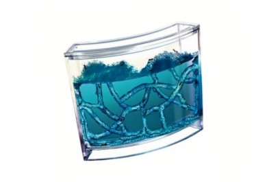 Mravenčí akvárium, Antquarium, Modré