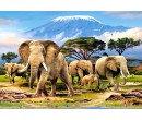 Castorland puzzle 1000 dílků - Sloni