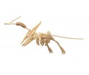 Woodcraft dřevěné 3D puzzle - skládačka Pteranodon J007