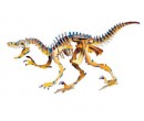Woodcraft dřevěné 3D puzzle - skládačka Velociraptor JC004