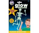 GlowStars - Svítící lidská kostra