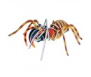 Woodcraft dřevěné 3D puzzle - skládačka Tarantule