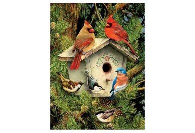Royal Langnickel Malování obrázků podle čísel - Ptáčci u budky 22x30 cm